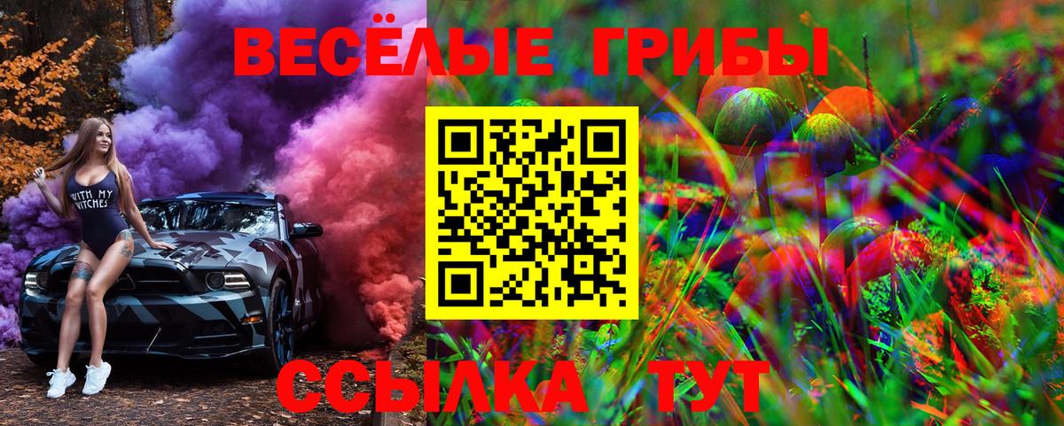 Галлюциногенные грибы MAGIC MUSHROOMS  Вход с VPN  Урюпинск  Галлюциногенные грибы Magic Shrooms 